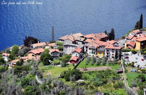 Agriturismo Conca Sandra - Farm Stay on Lake Como - Foto 41