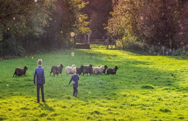 Cosy Apartment Near Center - Photo 24