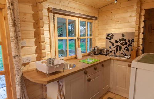 Family friendly sunny Log Cabin - Photo 24
