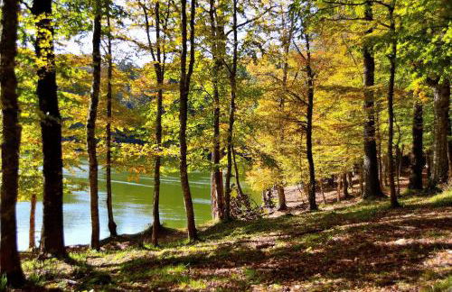 GarganoMareBorghi ospitalità diffusa - Foto 49