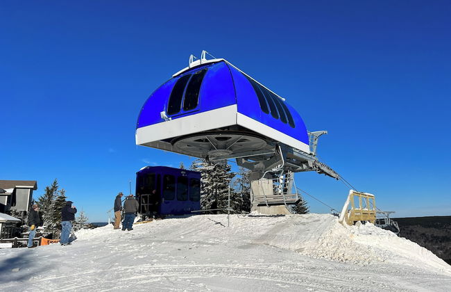 Leatherbark - Foto 22