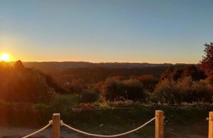 Quinta Casa do Retiro - Foto 21