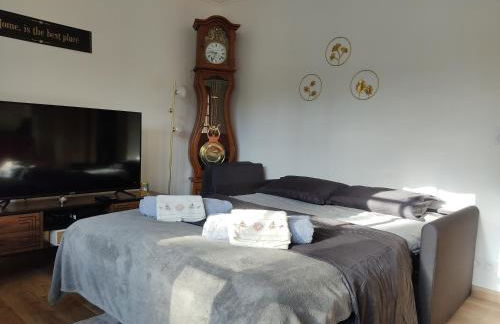 L'écureuil parisien Maison de charme avec jardin proche Paris - Foto 10