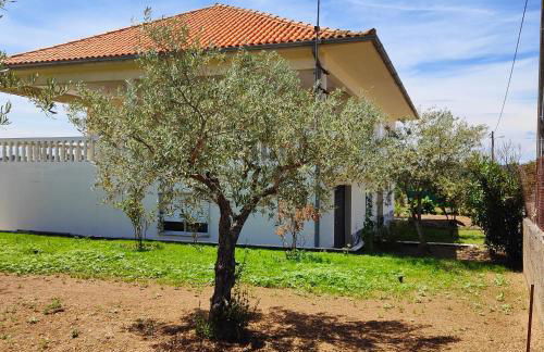 Villa Mendes Oliva - Foto 47