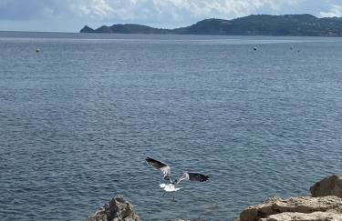 La Gavina Suite Xàbia - Foto 23