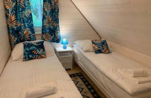 Kwiat Paproci - Foto 12