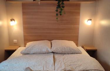 Mobil-home climatisé 6 pers en Ardèche - Foto 7