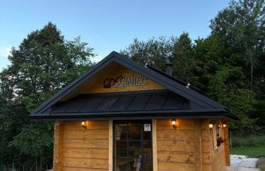 Villa Ligęzówka - Foto 14