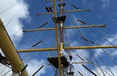 Kleines Studio Eisvogel - Photo 19