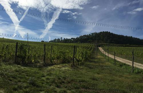 Giorgio antico fienile toscano - Foto 37