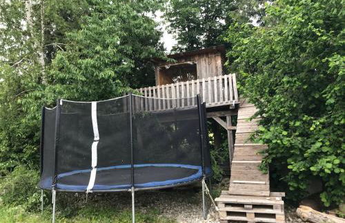 Beim Hofbauer - Foto 15