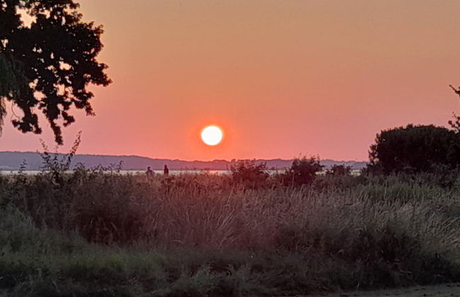 The Comfort of This Cottage Merges With Nature - Photo 16