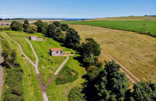 Anniston Mill Cabin 1 - Photo 12