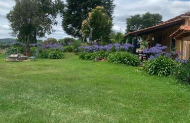 Cottage da Fonte Seca - Foto 3