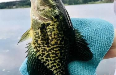 Cozy Lakefront Retreat with Game Room, Outdoor Living and Dock in Wisconsin - Foto 23