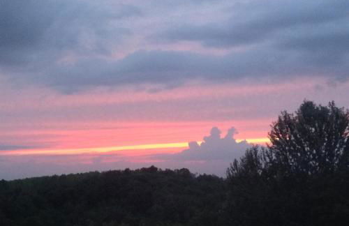 Sangrato 1883 - Foto 39