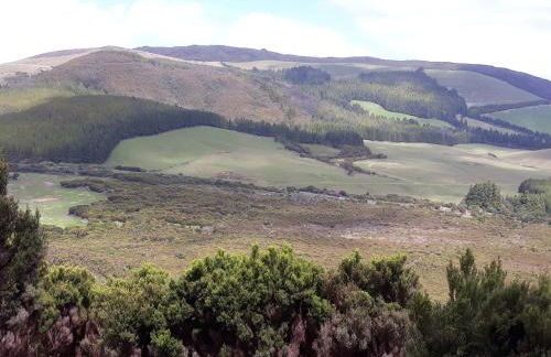 Vivenda Areias - Photo 42