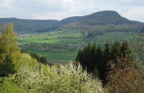 Ferienwohnungen beim Imker - Foto 5