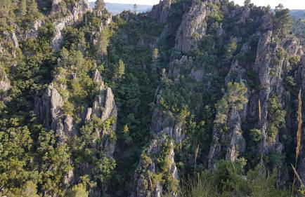 Casa Rural La Tejeria - Foto 45