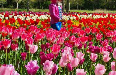 Gite de la Guernouille - Foto 39