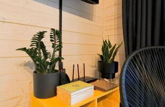 Jemioła Chaty Niedźwiady Małe - Foto 49