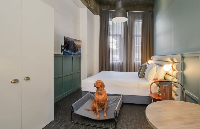 The Urban Newtown - Foto 12