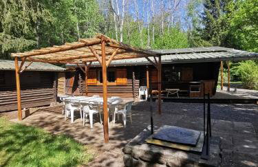 Chalet - gîte avec étang - Foto 9