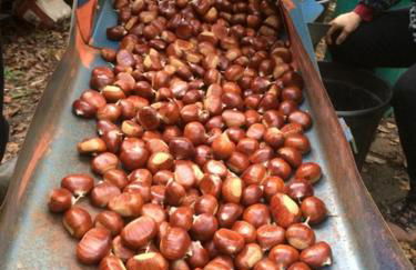 SO MAGIC - La casa nel bosco - Foto 41