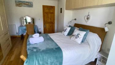 Little Dragons - Foto 5