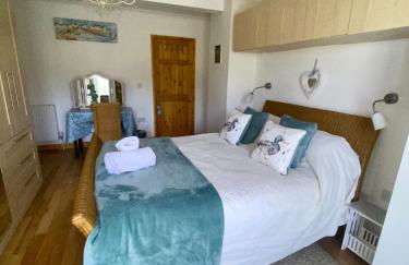 Little Dragons - Photo 5