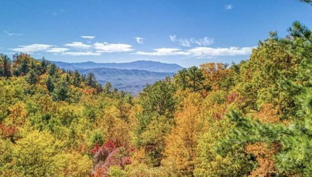 NEW Haven Peaceful Retreat Gorgeous Views Pool - Foto 2, Habitación