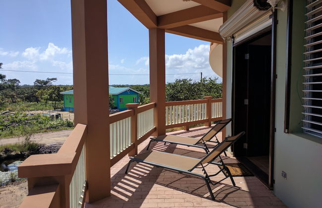 Savannah Sand Dollar - Foto 14