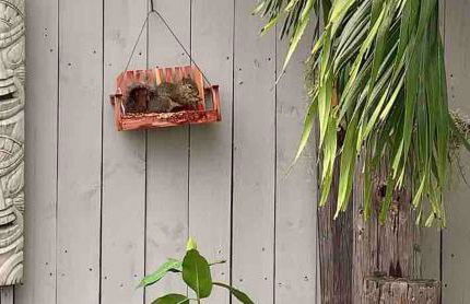 Quaint Coastal Pool Home on Florida's Space Coast - Foto 54
