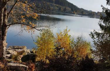 Manu's Ferienwohnung - Foto 28