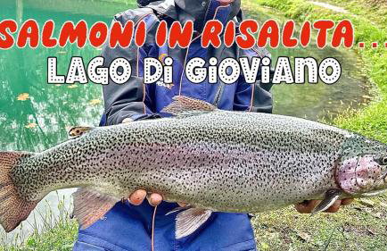 Casa Hydrangea con piscina e giardino - Foto 69