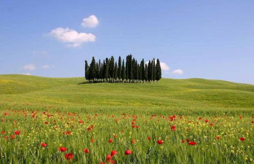 Apartment Ferienappartement mit Garten und Panoramablick by Interhome - Foto 16