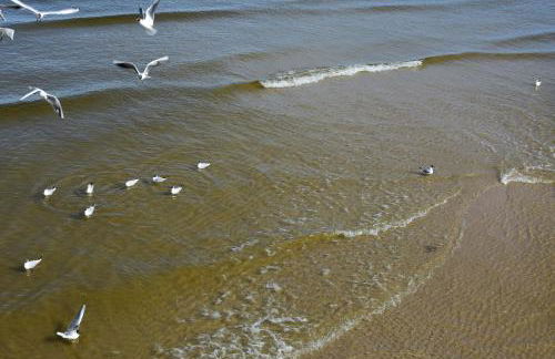 Haus Mövenort - Foto 10