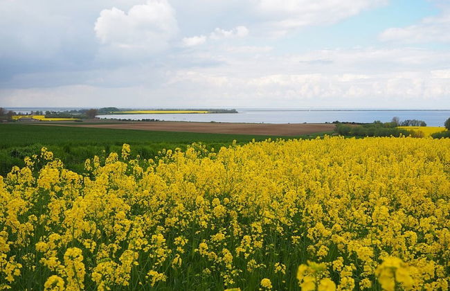 Bungalow in Klein Strtsmkendorf - Foto 40