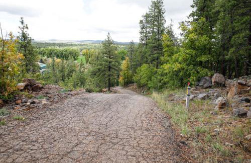 Modern Cabin Living! Mtn-View Gem in Munds Park - Foto 22