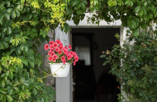 Kuća za odmor Joko i Jeka - Foto 10