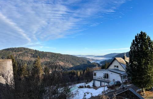 Villa Hubertus - Ferienwohnungen am Feldberg - Foto 21