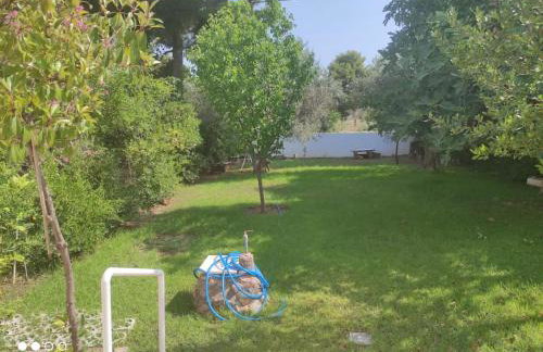 Seaside villa in Eretria - Photo 10