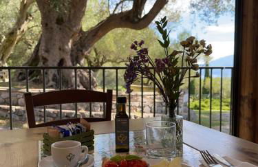 Pie' d'Ulivo - Foto 13