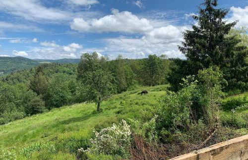 Gîte Au bout des Mynes avec vue panoramique - Foto 16