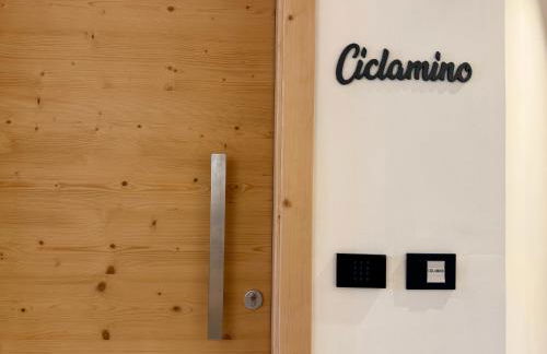 Appartamento Ciclamino - Foto 43