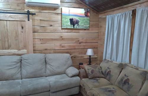Cabin with a tree house on a buffalo farm . - Foto 8