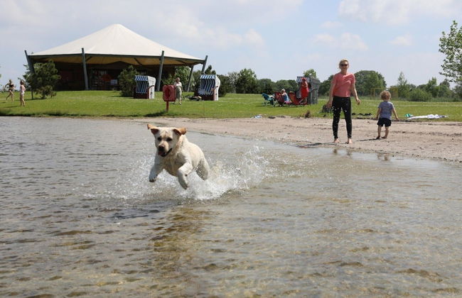 Room With Designed Party Areas, Wangerland - Foto 34