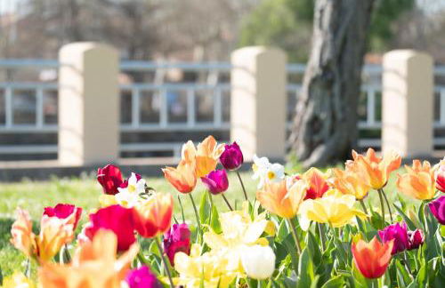 Évasions-Escapade, centre-ville, gare - Foto 23