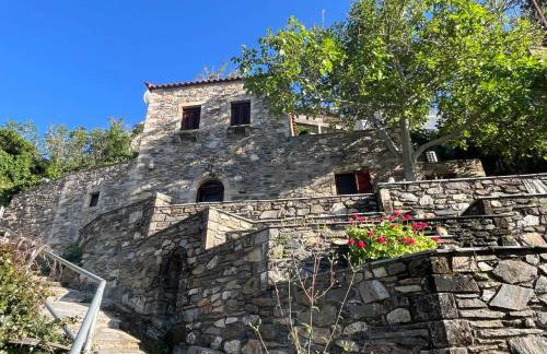 Paradisi Village - Foto 30