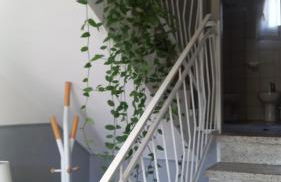 La Casetta di Anna - Foto 5